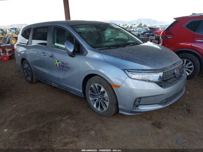 HONDA ODYSSEY 2024