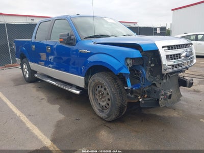FORD F-150 2013