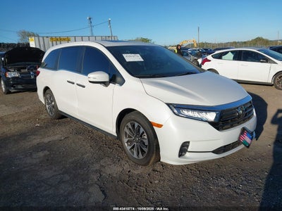 HONDA ODYSSEY 2024