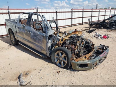 FORD F-150 2024