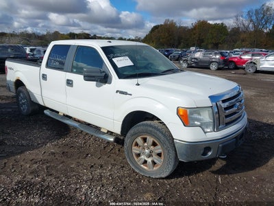 FORD F-150 2009