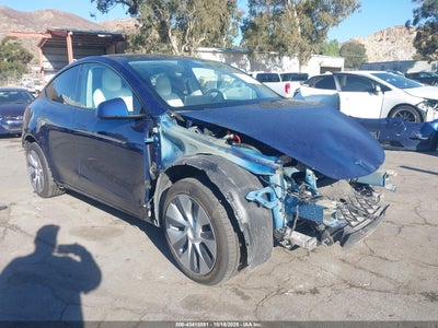 TESLA MODEL Y 2021