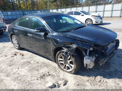 NISSAN MAXIMA 2010