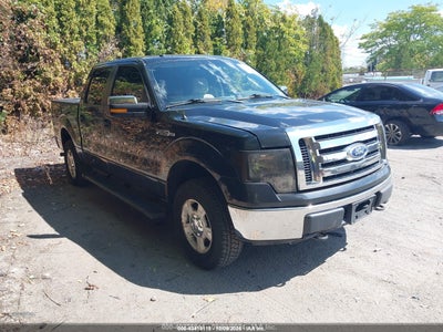 FORD F-150 2010