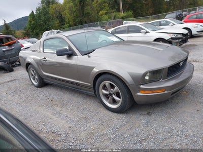 FORD MUSTANG 2005