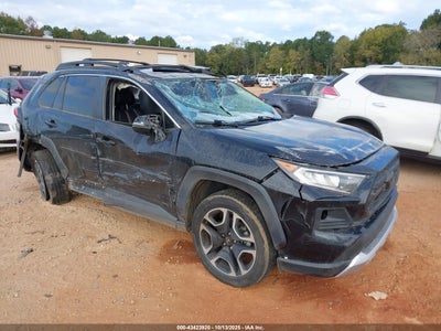 TOYOTA RAV4 2019