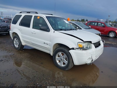 FORD ESCAPE HYBRID 2007