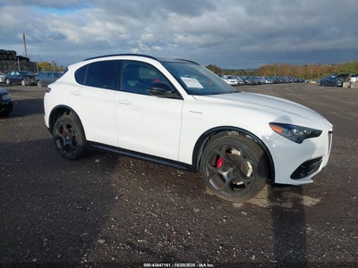 ALFA ROMEO STELVIO 2024