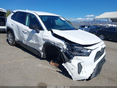 TOYOTA RAV4 2024