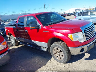 FORD F-150 2011