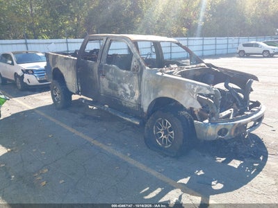 FORD F-150 2009