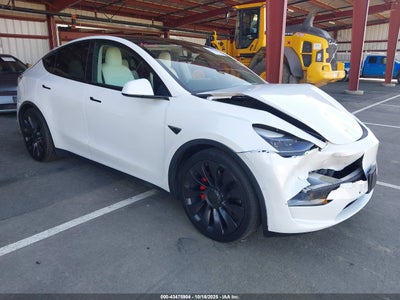 TESLA MODEL Y 2021