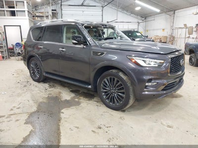 INFINITI QX80 2023