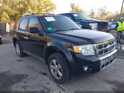 FORD ESCAPE 2010