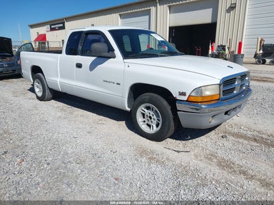 DODGE DAKOTA 2000