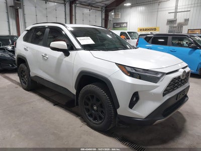 TOYOTA RAV4 2024