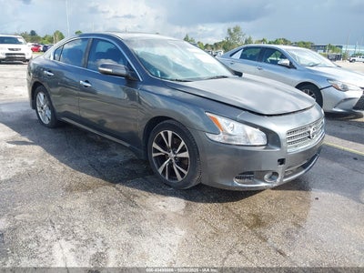 NISSAN MAXIMA 2010