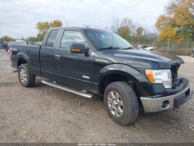 FORD F-150 2013