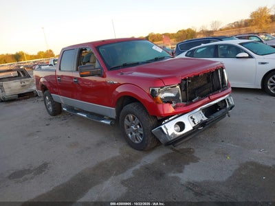 FORD F-150 2010