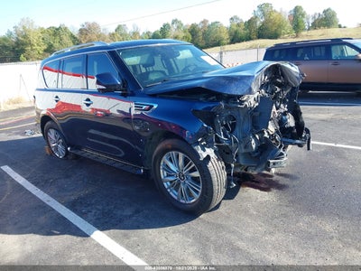 INFINITI QX80 2019