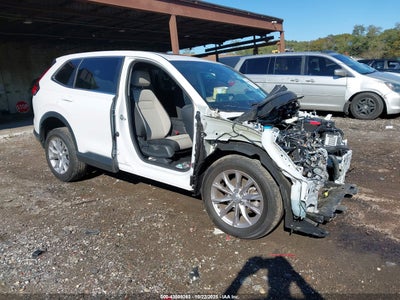 HONDA CR-V 2024