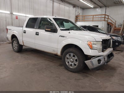 FORD F-150 2010