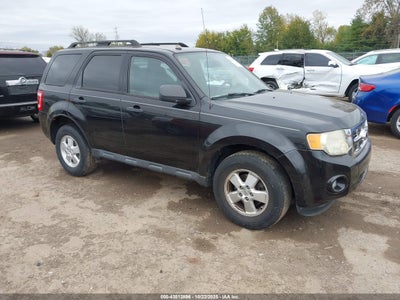 FORD ESCAPE 2011