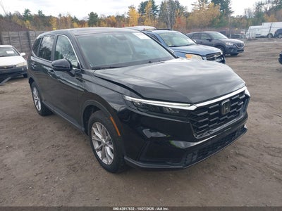 HONDA CR-V 2025