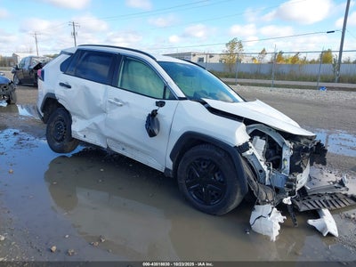 TOYOTA RAV4 2020