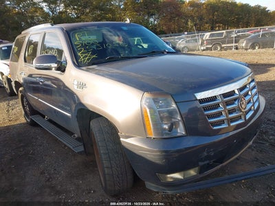 CADILLAC ESCALADE 2010