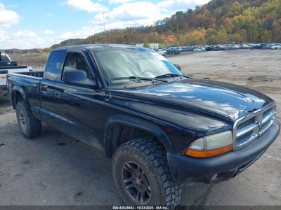 DODGE DAKOTA 2004