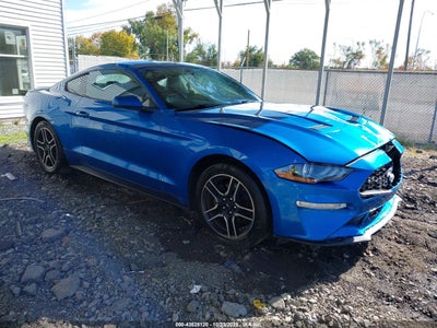 FORD MUSTANG 2019
