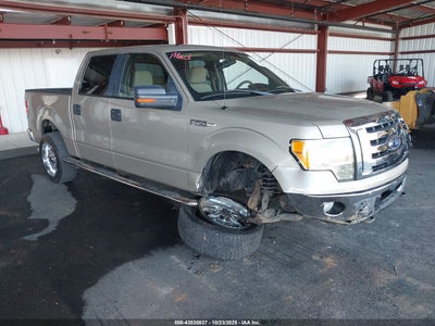 FORD F-150 2009
