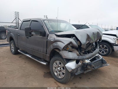 FORD F-150 2010