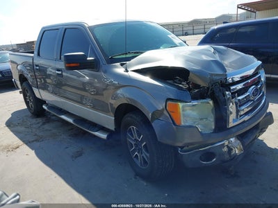 FORD F-150 2009