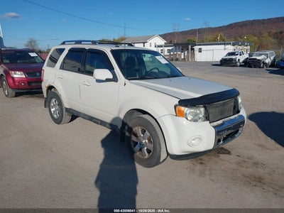 FORD ESCAPE 2010