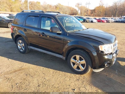 FORD ESCAPE 2010