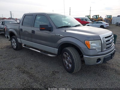 FORD F-150 2009