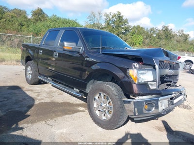 FORD F-150 2013