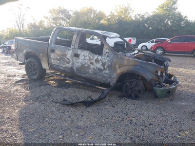 FORD F-150 2010