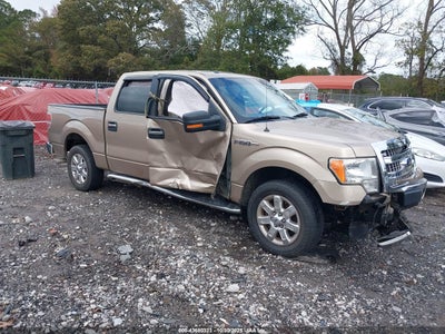 FORD F-150 2013
