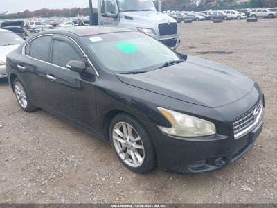 NISSAN MAXIMA 2011