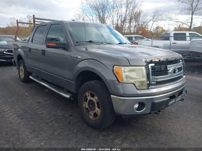FORD F-150 2013