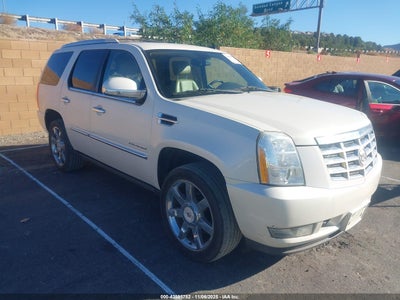 CADILLAC ESCALADE 2010