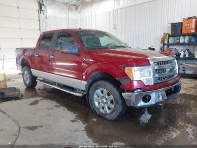 FORD F-150 2014