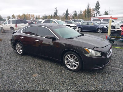 NISSAN MAXIMA 2010