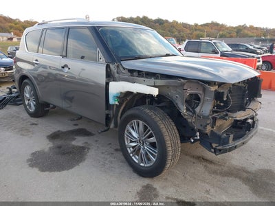 INFINITI QX80 2019