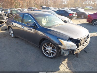 NISSAN MAXIMA 2010