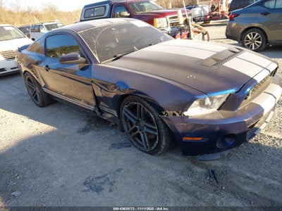 FORD SHELBY GT500 2010