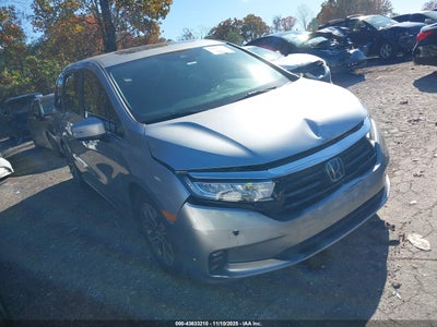 HONDA ODYSSEY 2021